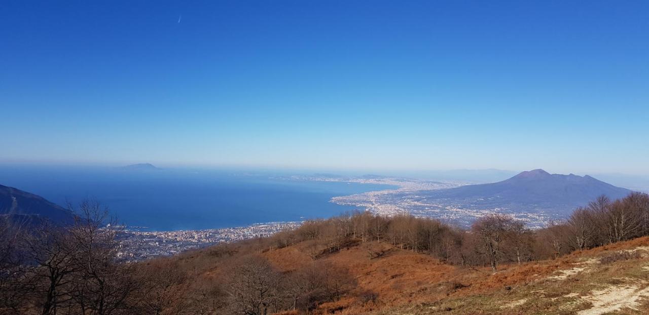Apicella Casa Vacanze Villa Tramonti Buitenkant foto