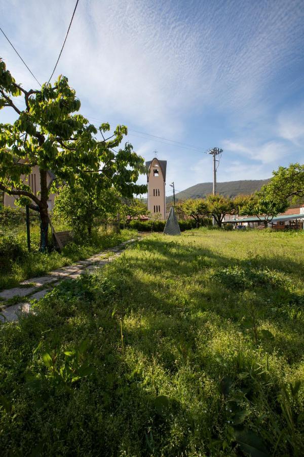 Apicella Casa Vacanze Villa Tramonti Buitenkant foto